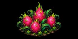 Dragon Fruit Grove